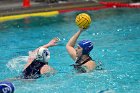 WWPolo vs CC  Wheaton College Women’s Water Polo vs Connecticut College. - Photo By: KEITH NORDSTROM : Wheaton, water polo
